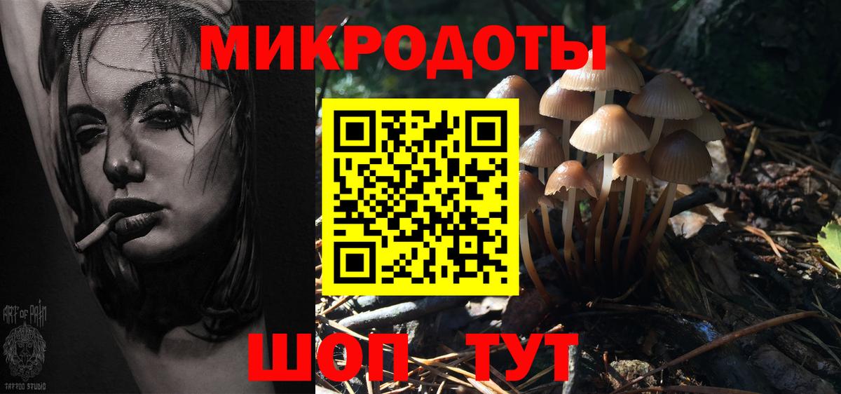 Псилоцибиновые грибы прущие грибы Евпатория